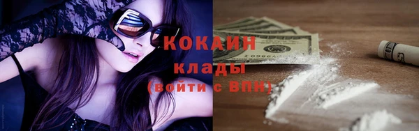 крисы Покачи