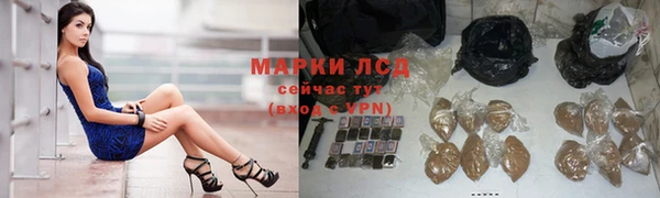 ПСИЛОЦИБИНОВЫЕ ГРИБЫ Покров