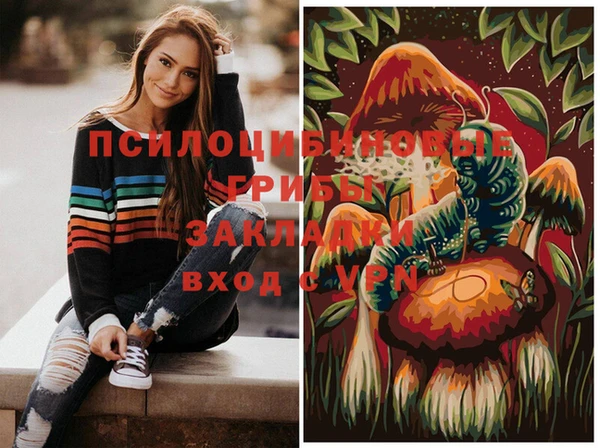 крисы Покачи