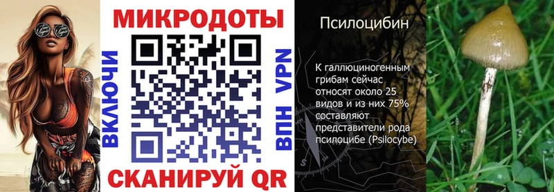 Купить  Тулун  Галлюциногенные грибы Psilocybine cubensis 